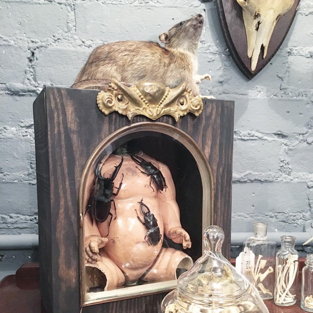 Cabinet de curiosités, Brick Lane